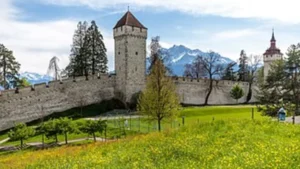 Lucerne